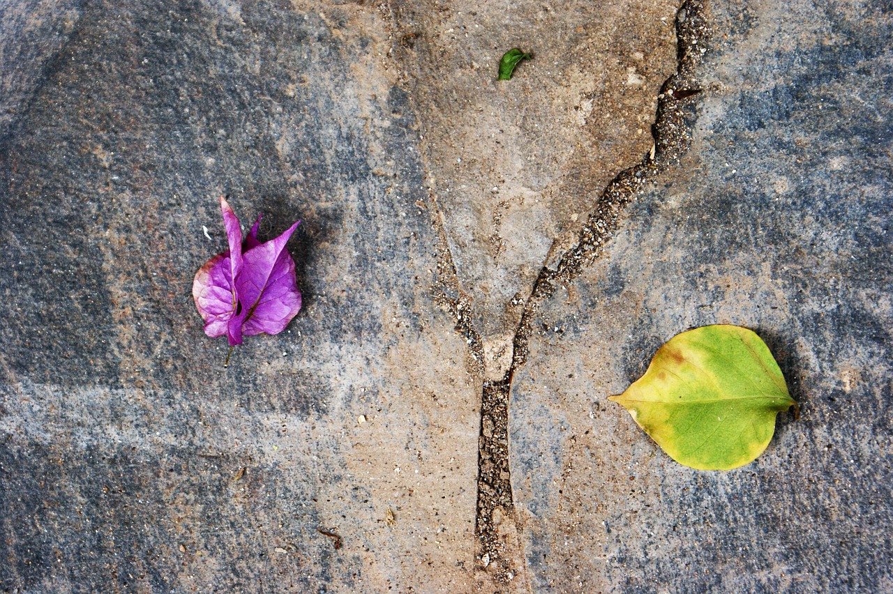 erfahren sie alles über die kosten der vermögensaufteilung bei scheidung oder trennung. unser leitfaden informiert sie über gebühren, mögliche streitpunkte und spartipps rund um die aufteilung von eigentum in deutschland.
