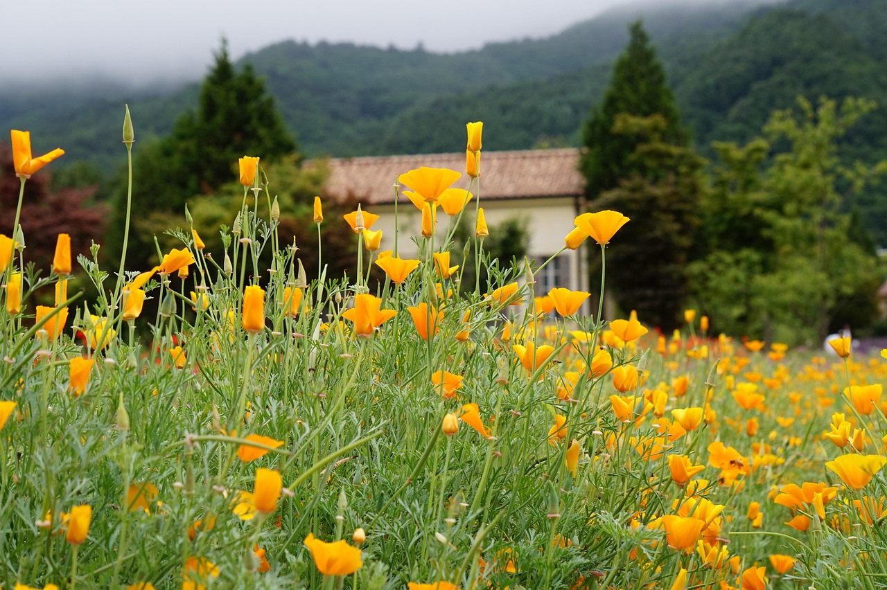 entdecken sie fashion hub – ihr ziel für die neuesten modetrends, angesagte styles und exklusive kollektionen. bleiben sie stets modisch und inspirieren sie ihren look!