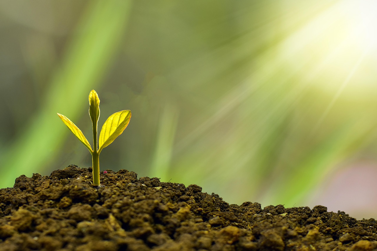 erfahren sie alles wissenswerte rund um das thema investment: tipps, strategien und aktuelle trends für erfolgreiches anlegen. jetzt informieren und in ihre finanzielle zukunft investieren!