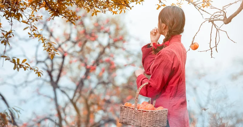 Kaki, Vitamin C und das Immunsystem