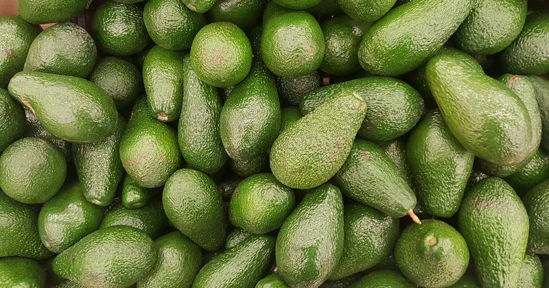 Die botanische Antwort: eine Beere, und das ist keine Spitzfindigkeit